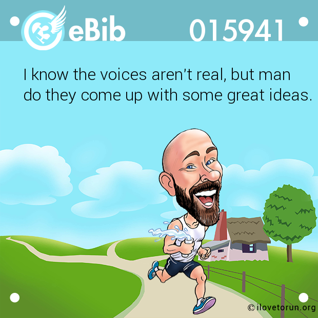 I know the voices aren't real, but man do they come up with some great ideas.