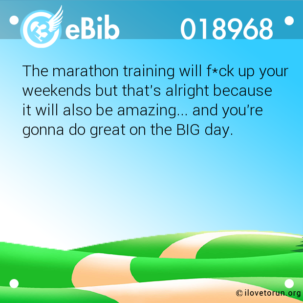 The marathon training will f*ck up your weekends but that's alright because  it will also be amazing... and you're  gonna do great on the BIG day.