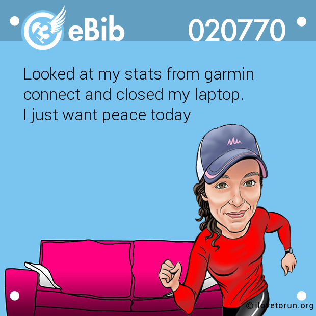 Looked at my stats from garmin 
connect and closed my laptop. 
I just want peace today