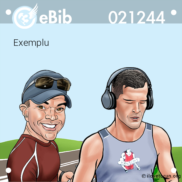 Exemplu