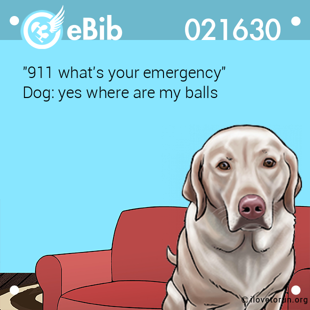 "911 what's your emergency"

Dog: yes where are my balls