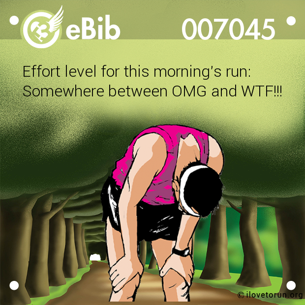 Effort level for this morning's run:

Somewhere between OMG and WTF!!!