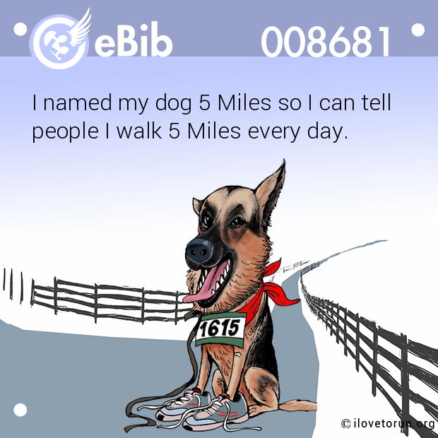 I named my dog 5 Miles so I can tell
people I walk 5 Miles every day.