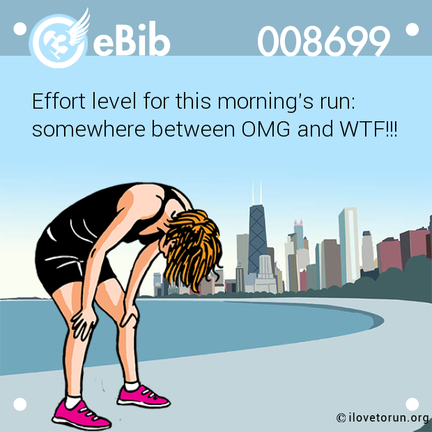 Effort level for this morning's run:

somewhere between OMG and WTF!!!