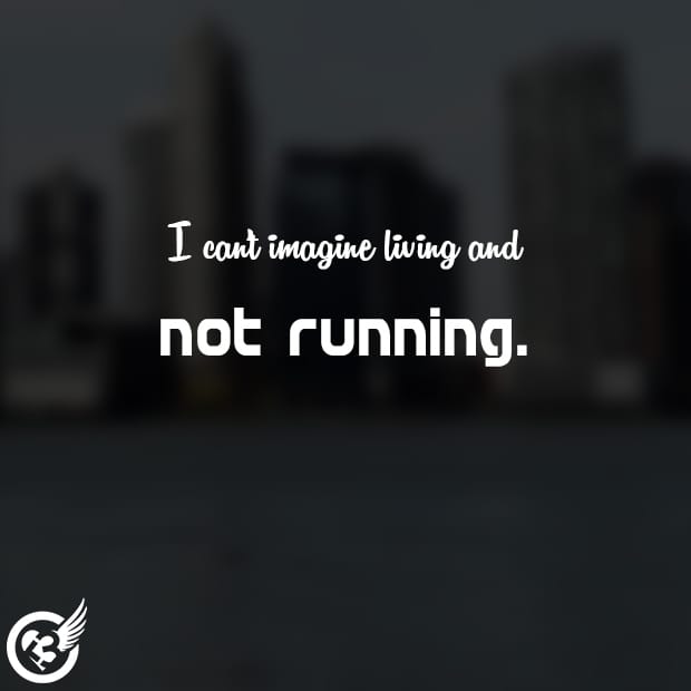 Ask me about my normal daily run, and the answer won't impress you. Tell me you run longer and faster, and I'll agree; most runners do. But try to tell me that my runs lack "quality" or, worse, are "junk miles," and you'll get an argument. Any run anyone wanted to take, and feels happy for having taken, is never wasted. [Joe Henderson]