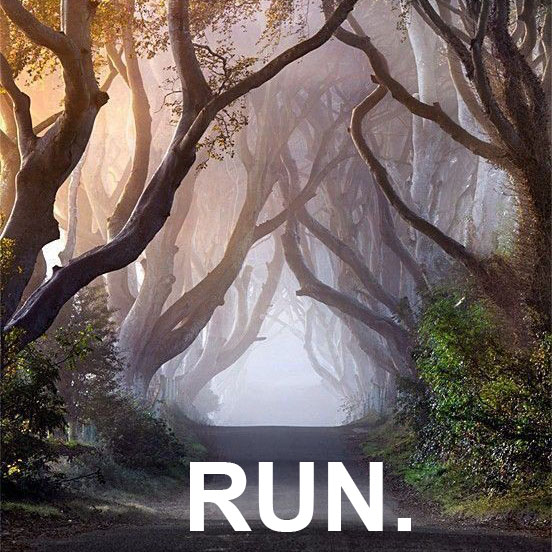 Time to RUN.
Run through fat days. Run through regret and guilt. Run through frustrations. Run through loneliness. Run through those blissful days. Run despite your dysfunctional family. Run through people drifting in and out of your life. Run through your own fits of self doubt. Because we are no longer those people who thought constantly of their struggle to disappear. We choose to be healthy, to get stronger, to be as alive as we possibly can. Who's with us?